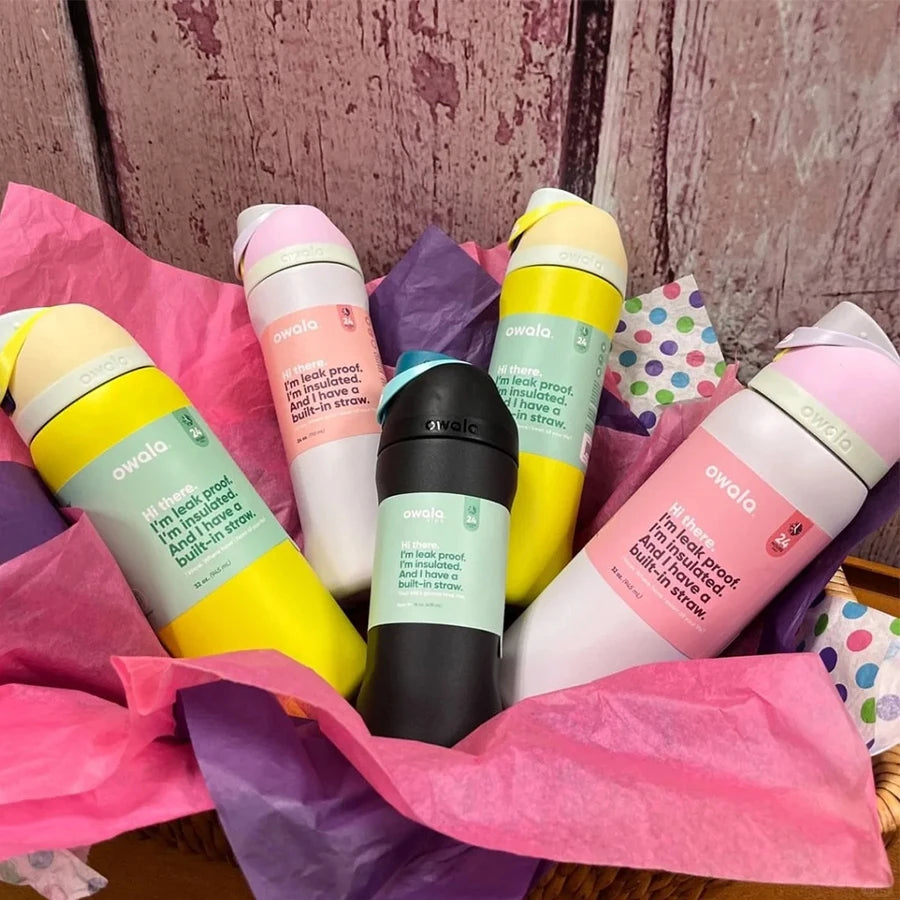 NEW Original  Insulated Stainless Steel Water Bottle with Straw, Bpa-Free Sports Water Bottle